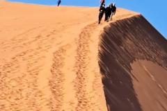 IMG-20251028-WA0421