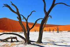 a6da4dab6df355a40cc8e72c43111c54