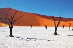 shutterstock_dead-camelthorn-trees-against-red-dunes-and-blue-sky-in-deadvlei-sossusvlei