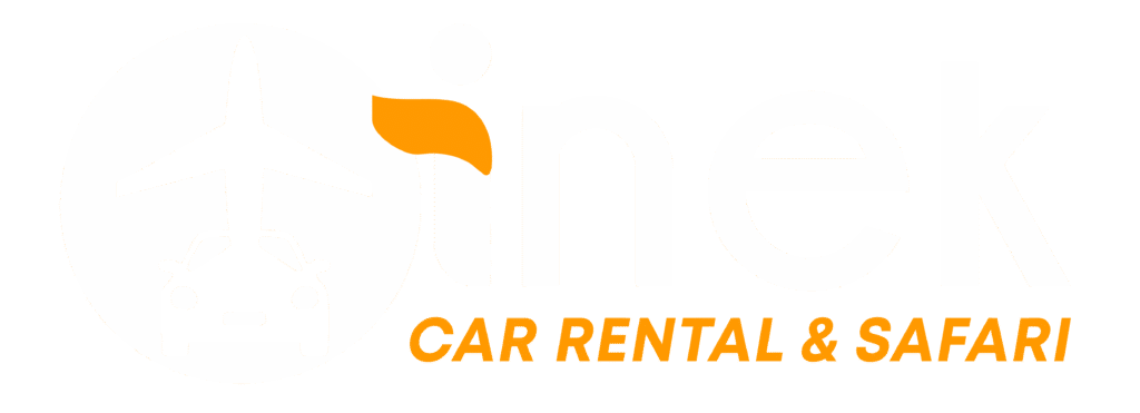 INEK LOGO white and yellow png-01